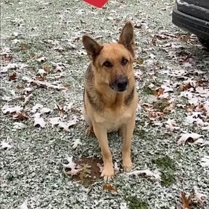 Meet your Posher, Mandy